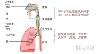 圖片 1.png