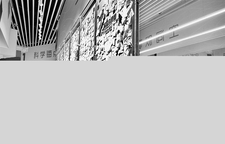 提升学生科学素养 夯实教育强国建设人才根基 提升学生科学素养 夯实教育强国建设人才根基