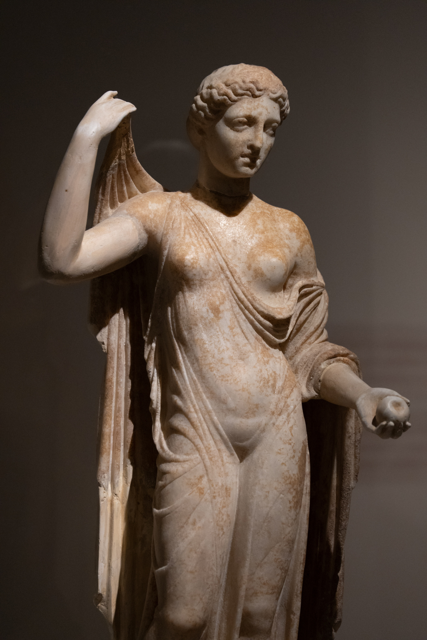 DGL_8582.jpg