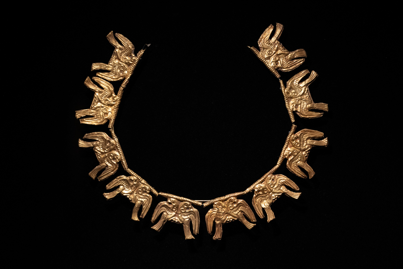 DGL_8469.jpg