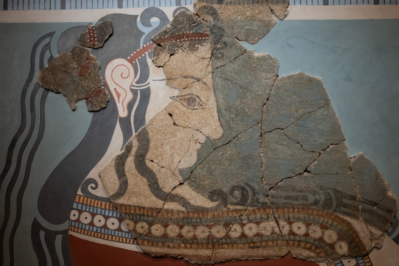 DGL_8496.jpg