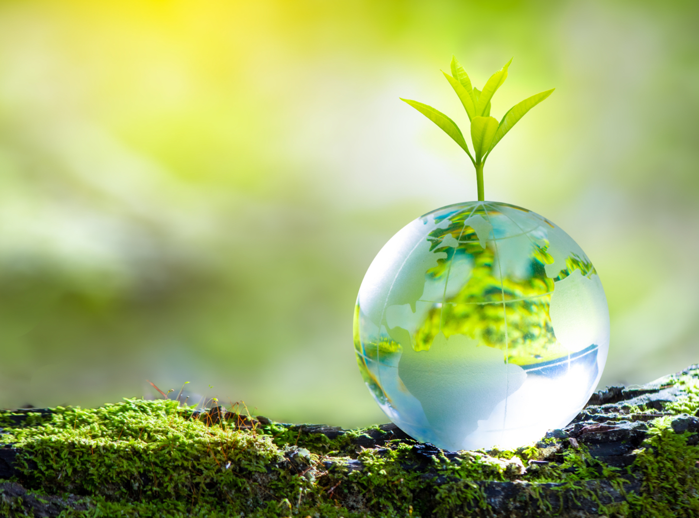 绿色与先进能源转型：驱动未来经济和生态双赢