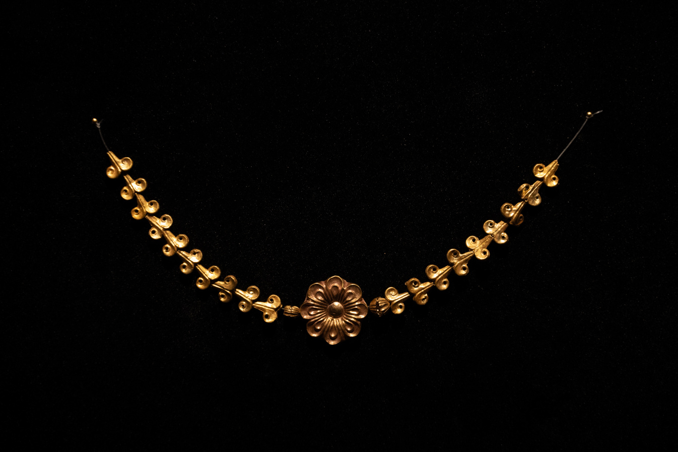 DGL_8409.jpg