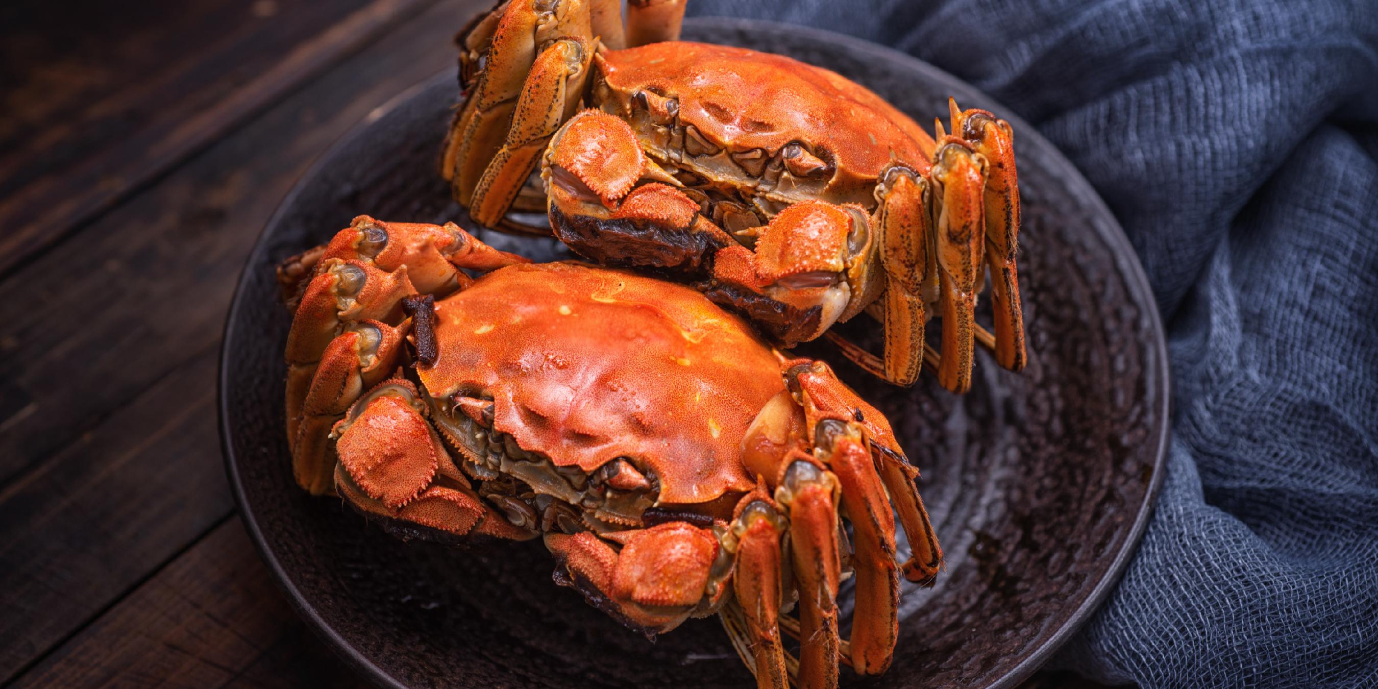 苹果蟹能养多大 487D2A868433C65B79925E3829E9FBD6.jpg