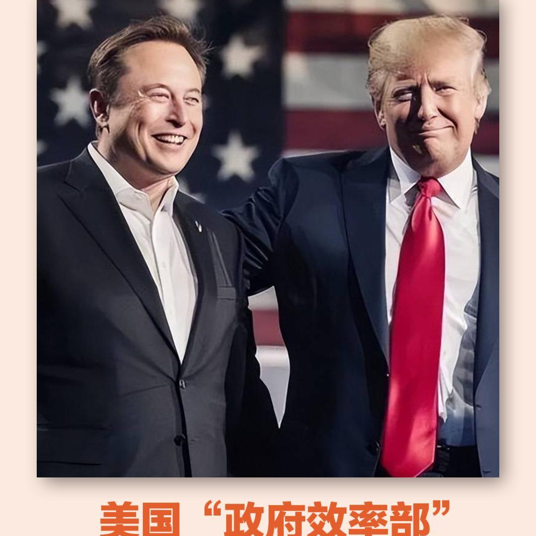 美国“政府效率部”确认已提前解散_经济观察网