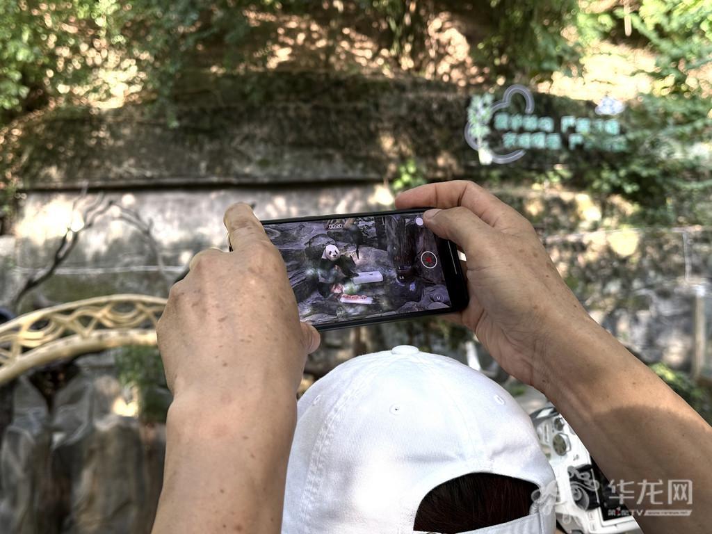 市民拍照留念。第1眼TV-华龙网记者 谢鹏飞摄