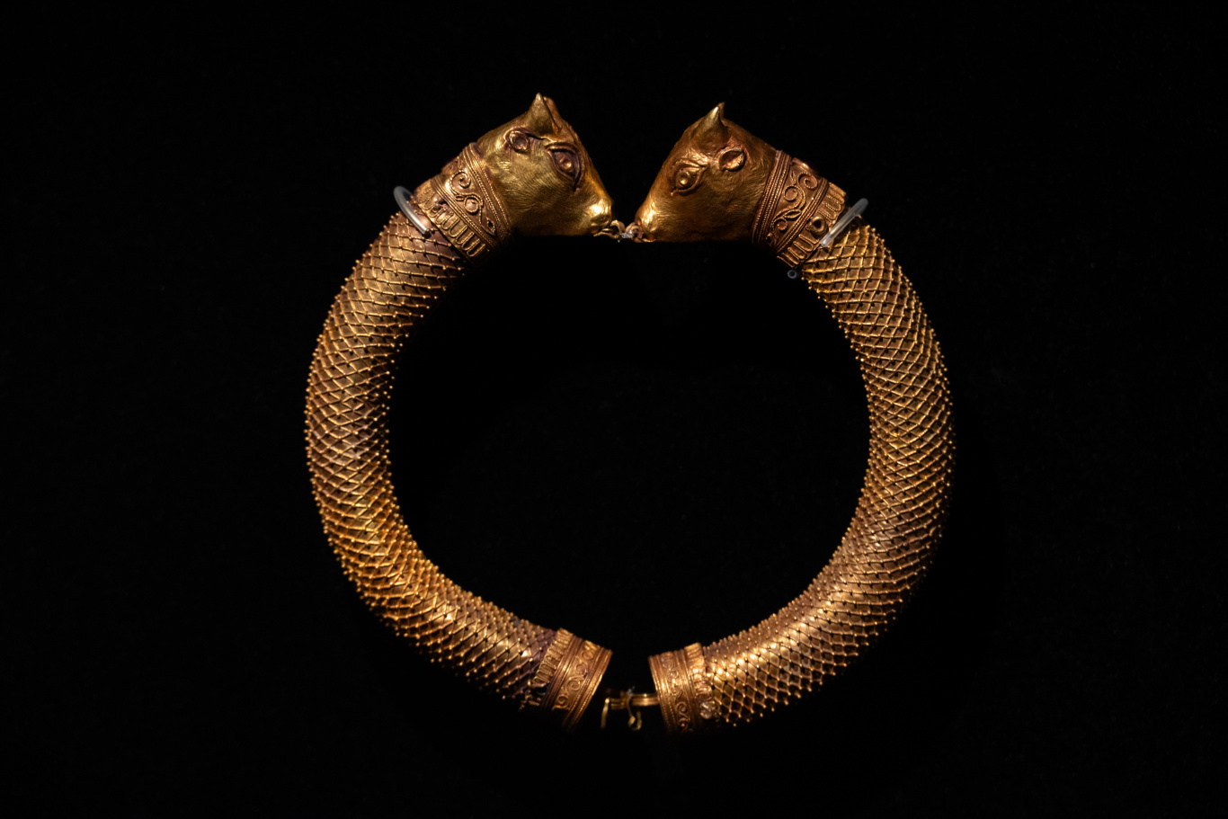 DGL_8459.jpg
