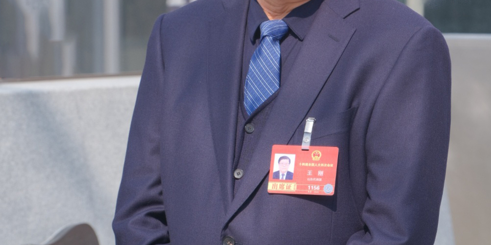 全国人大代表王刚：建议加大“两重”政策对钙钛矿光伏的支持力度 - 经济观察网 － 专业财经新闻网站