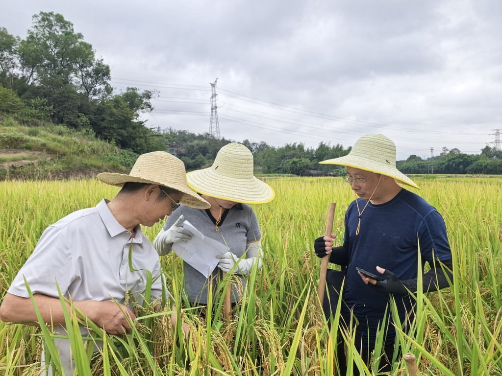 日常培训学习。市种子站供图