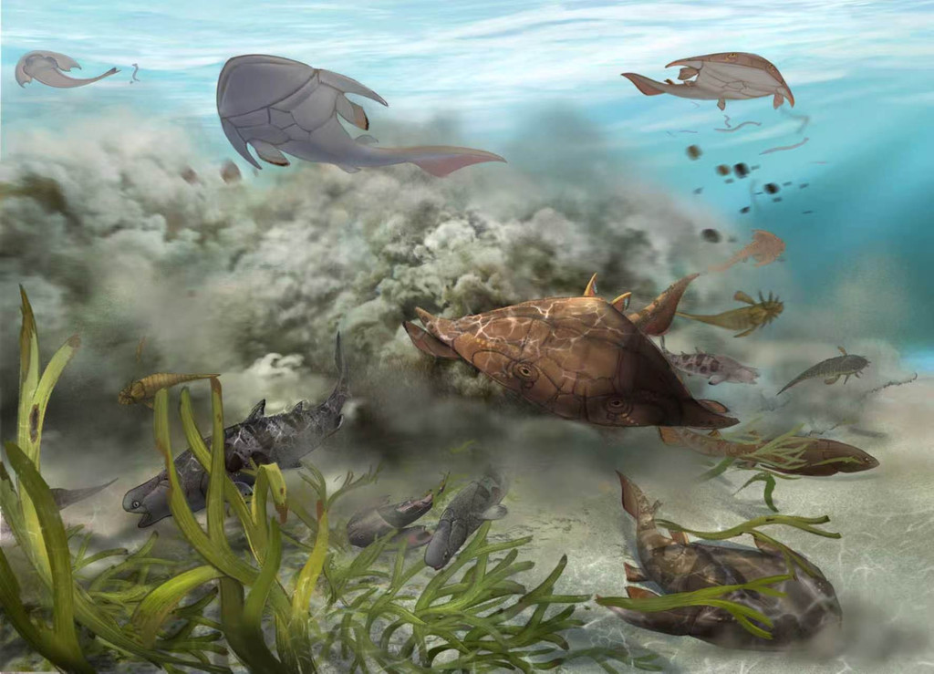 重庆生物群生态复原图。受访者供图