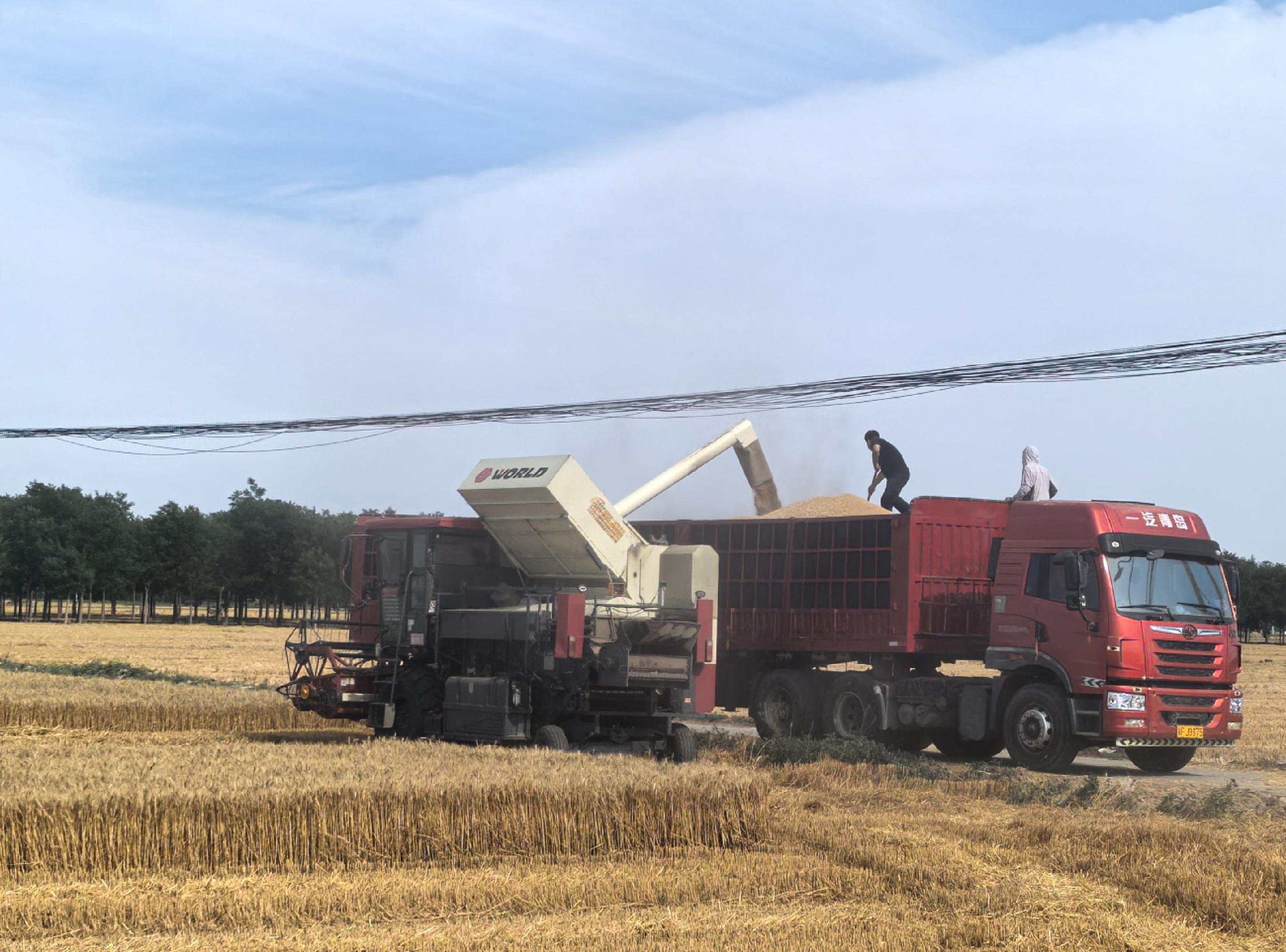 北小王有个种田CEO｜投资新农人