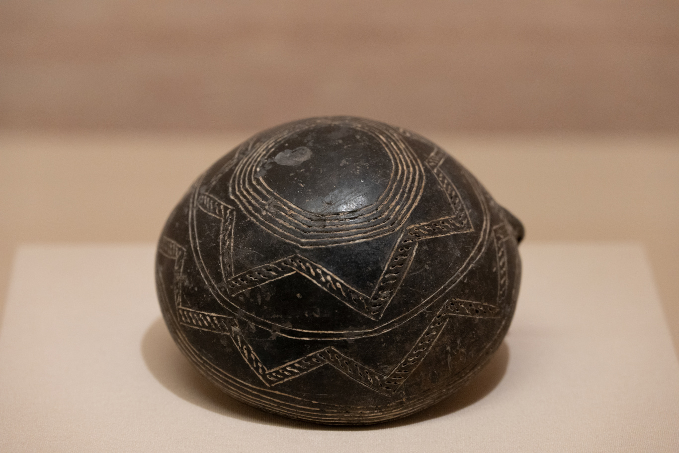 DGL_8104.jpg