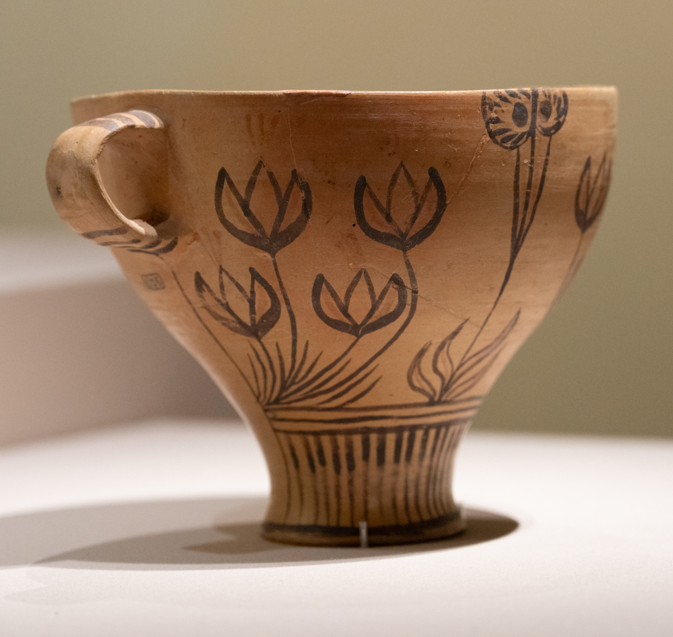 DGL_8123.jpg