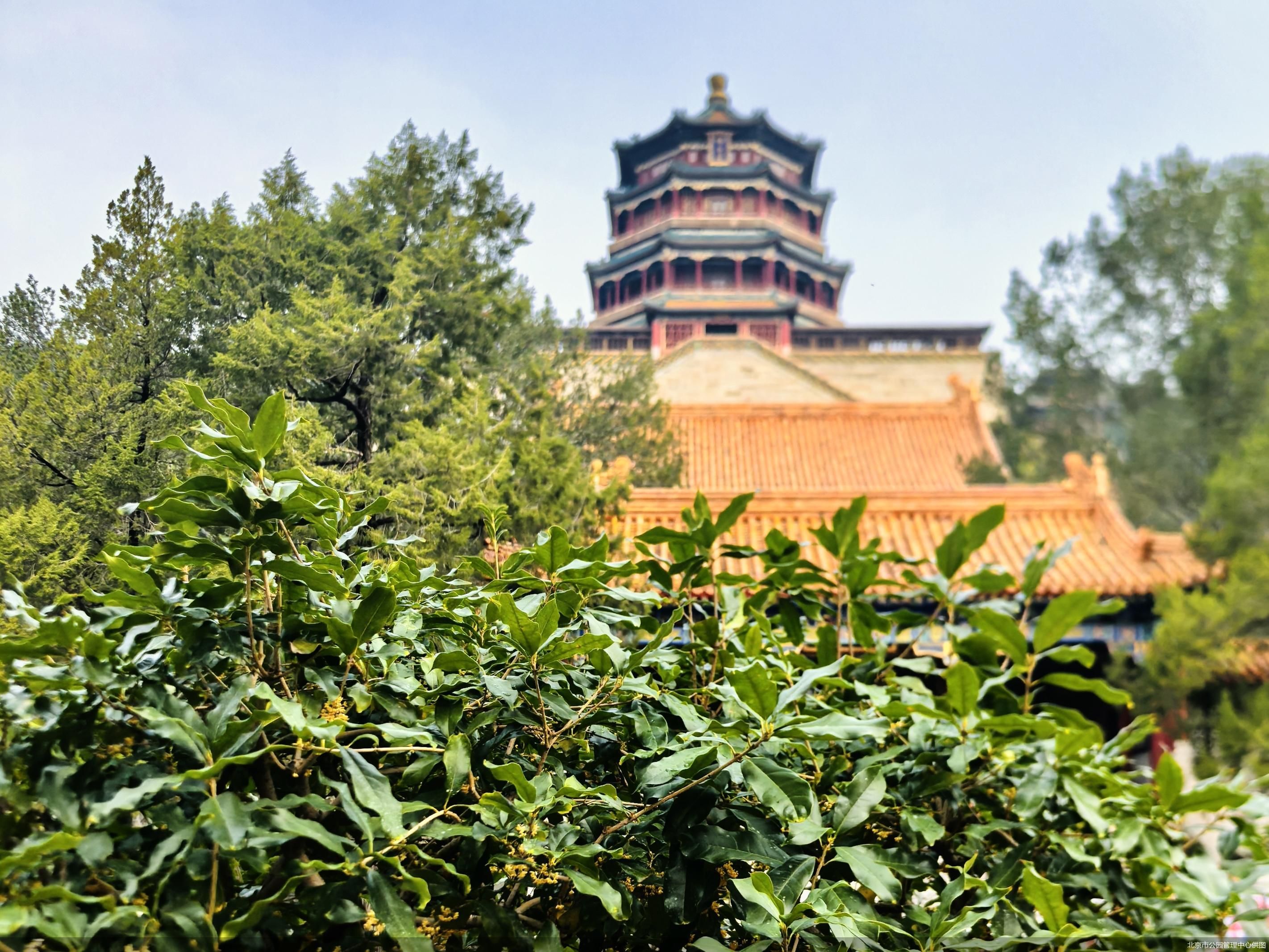 北京市公园管理中心供图