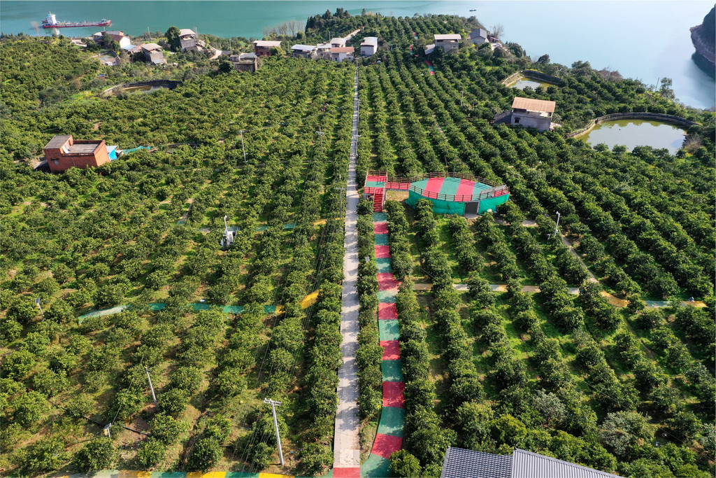 云阳县人和街道晒经村。重庆市林业局供图