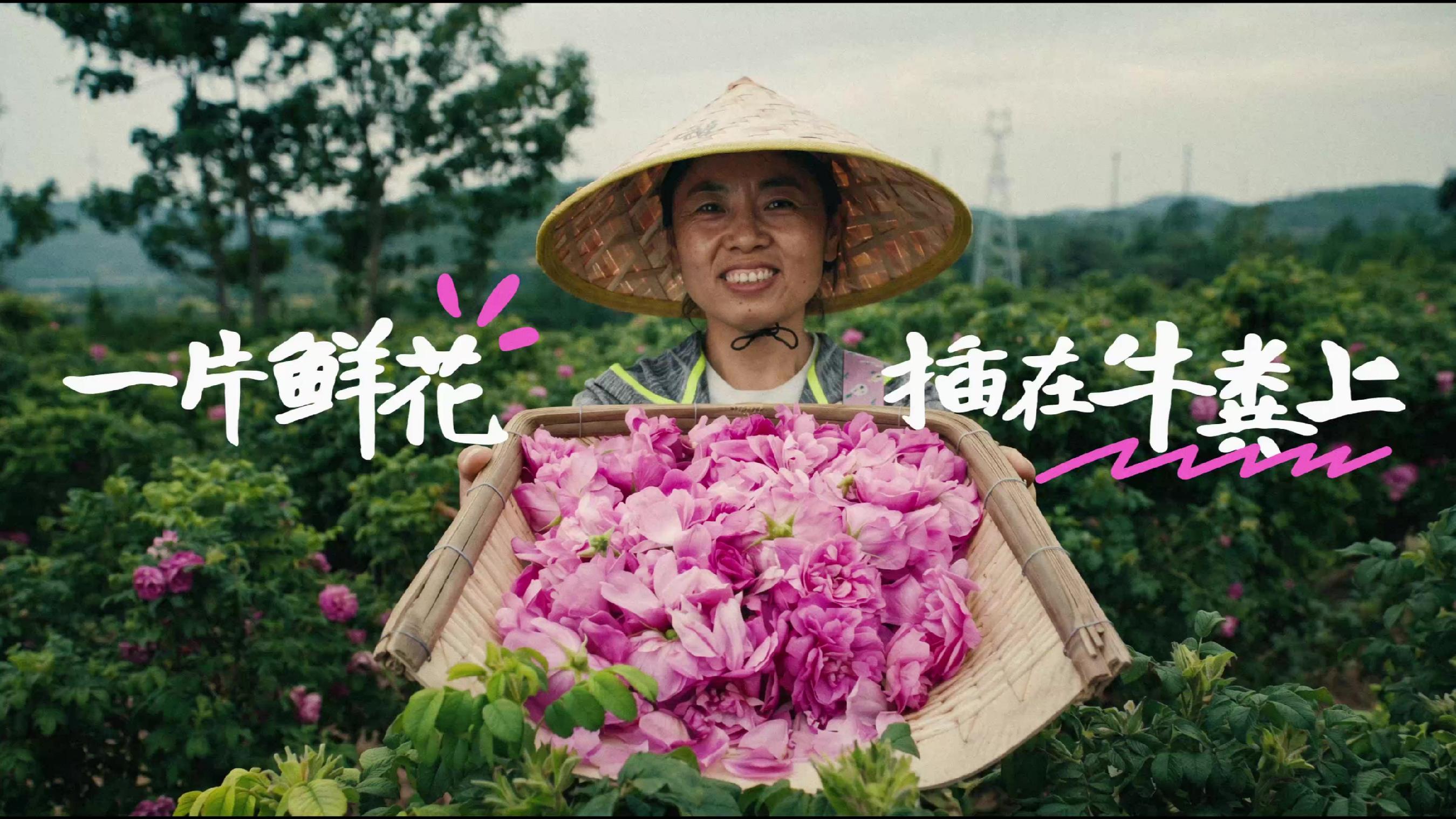 A fresh flower planted on cow dung