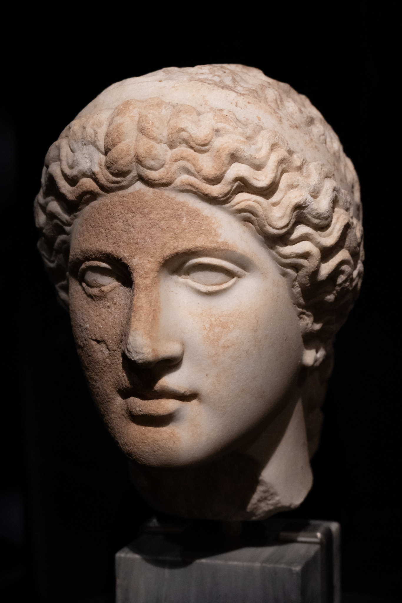 DGL_8391.jpg