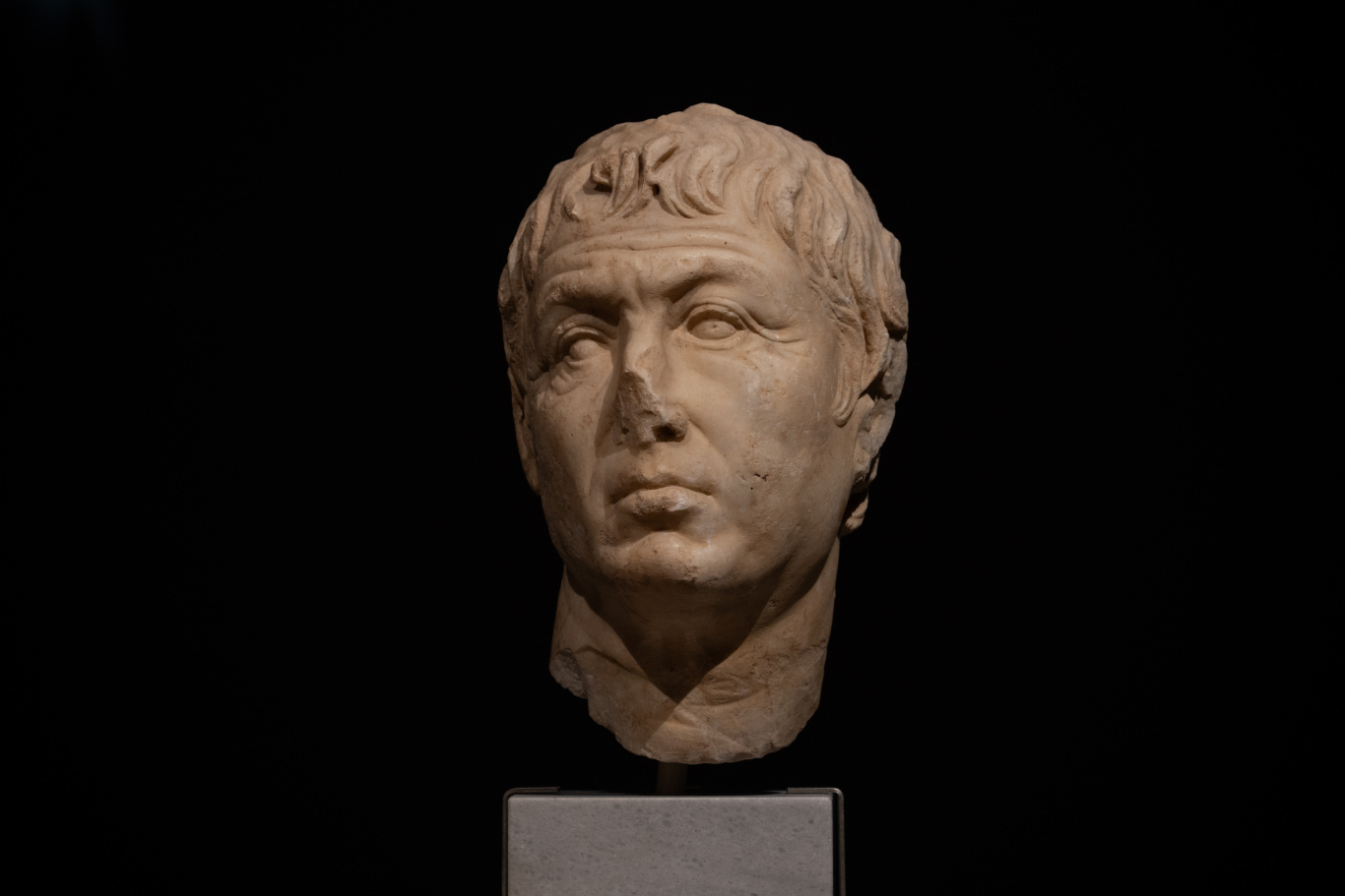 DGL_8556.jpg