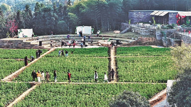 重庆市高新区曾家镇虎峰山村：艺术赋能，助推多业兴