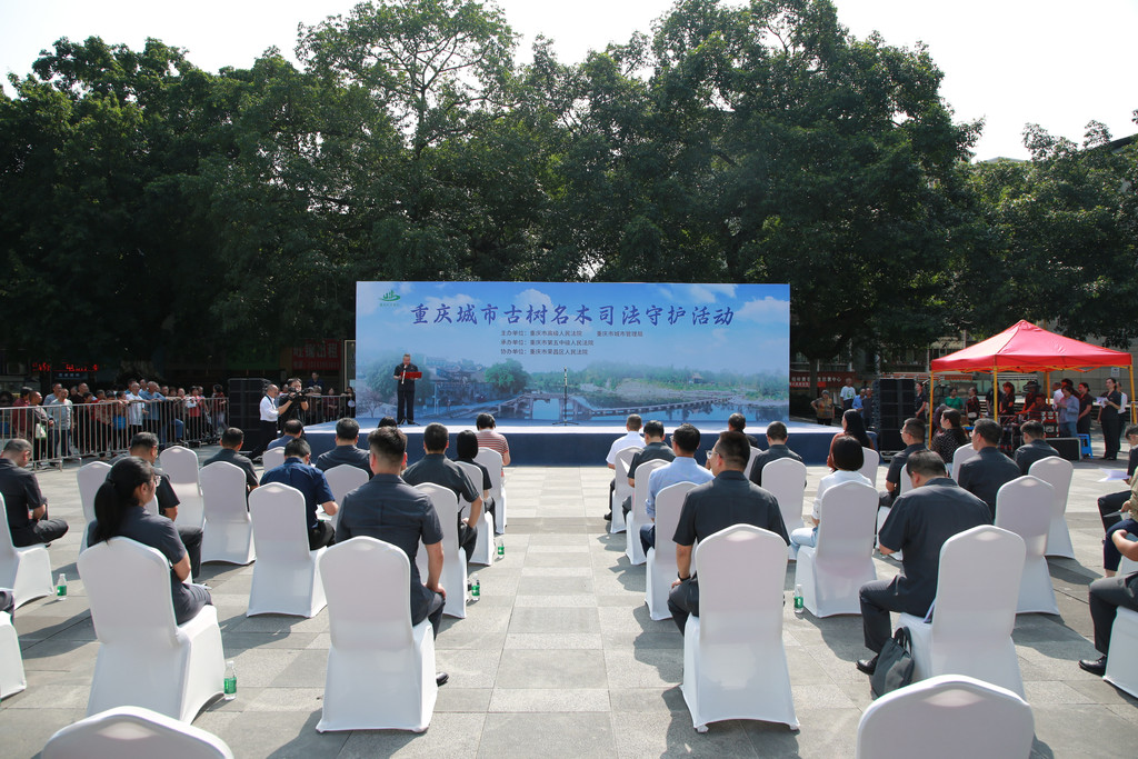 重庆城市古树名木司法守护主题活动。重庆市第五中级人民法院供图
