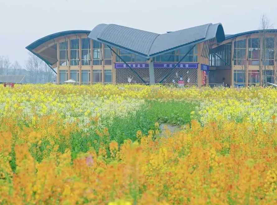 成都跻身国内最热赏花目的地Top10，“赏花经济”蓬勃兴起