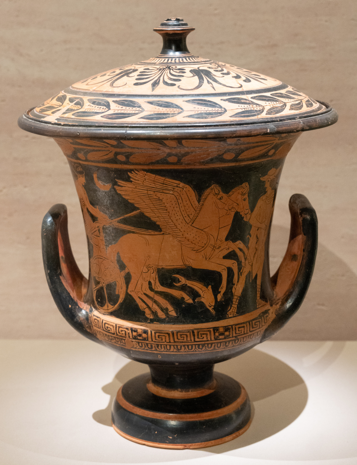 DGL_8214.jpg