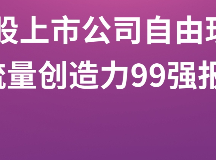 2024 年度 A 股上市公司自由现金流量创造力（FCF Top 99）报告