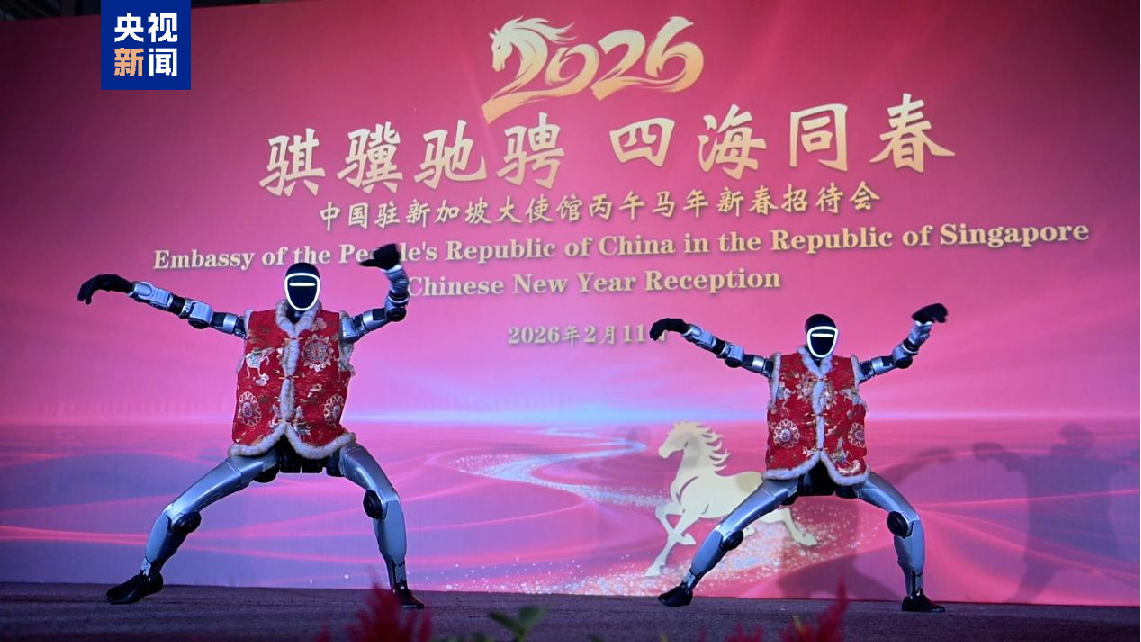 全球看春晚!总台春晚宣传片精彩亮相中国驻新加坡使馆新春招待会 - 经济观察网 - 专业财经新闻网站