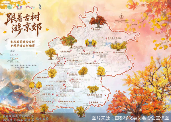 图片来源:首都绿化委员会办公室供图