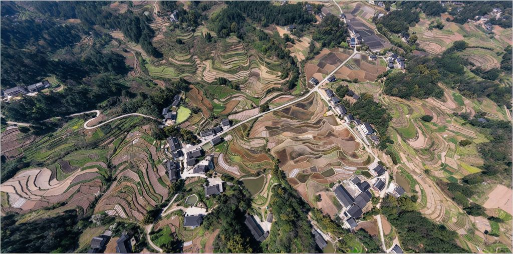 荷花村梯田风光。重庆市规划和自然资源局供图