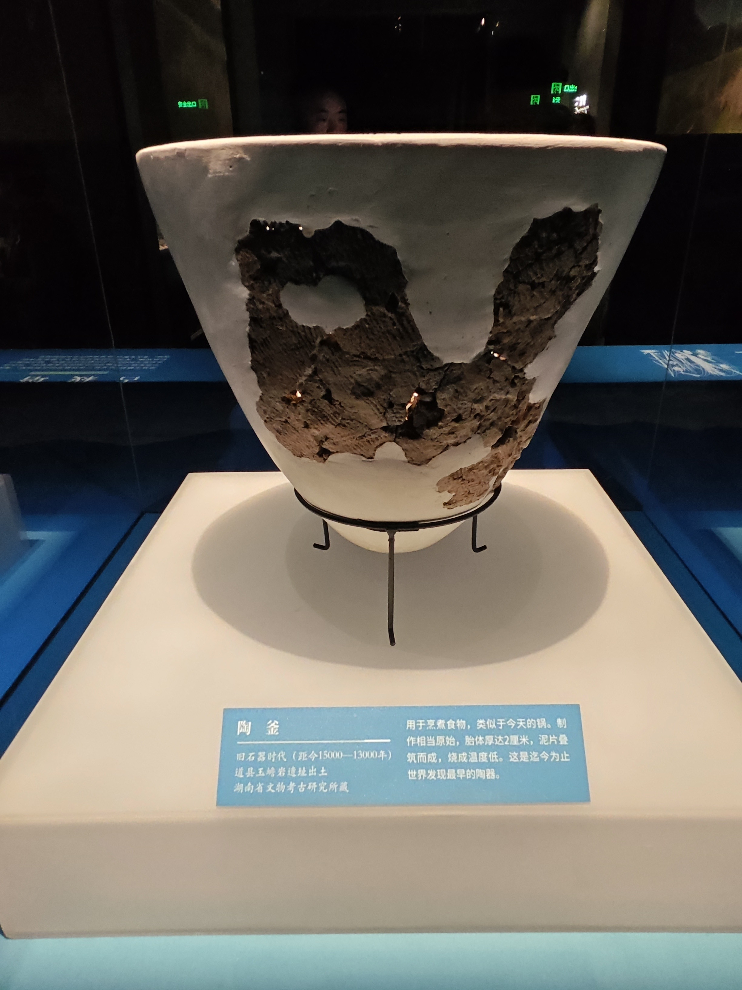 植物考古学家赵志军:追寻"三星堆人吃什么?",万年农业起源"浮"出|访谈