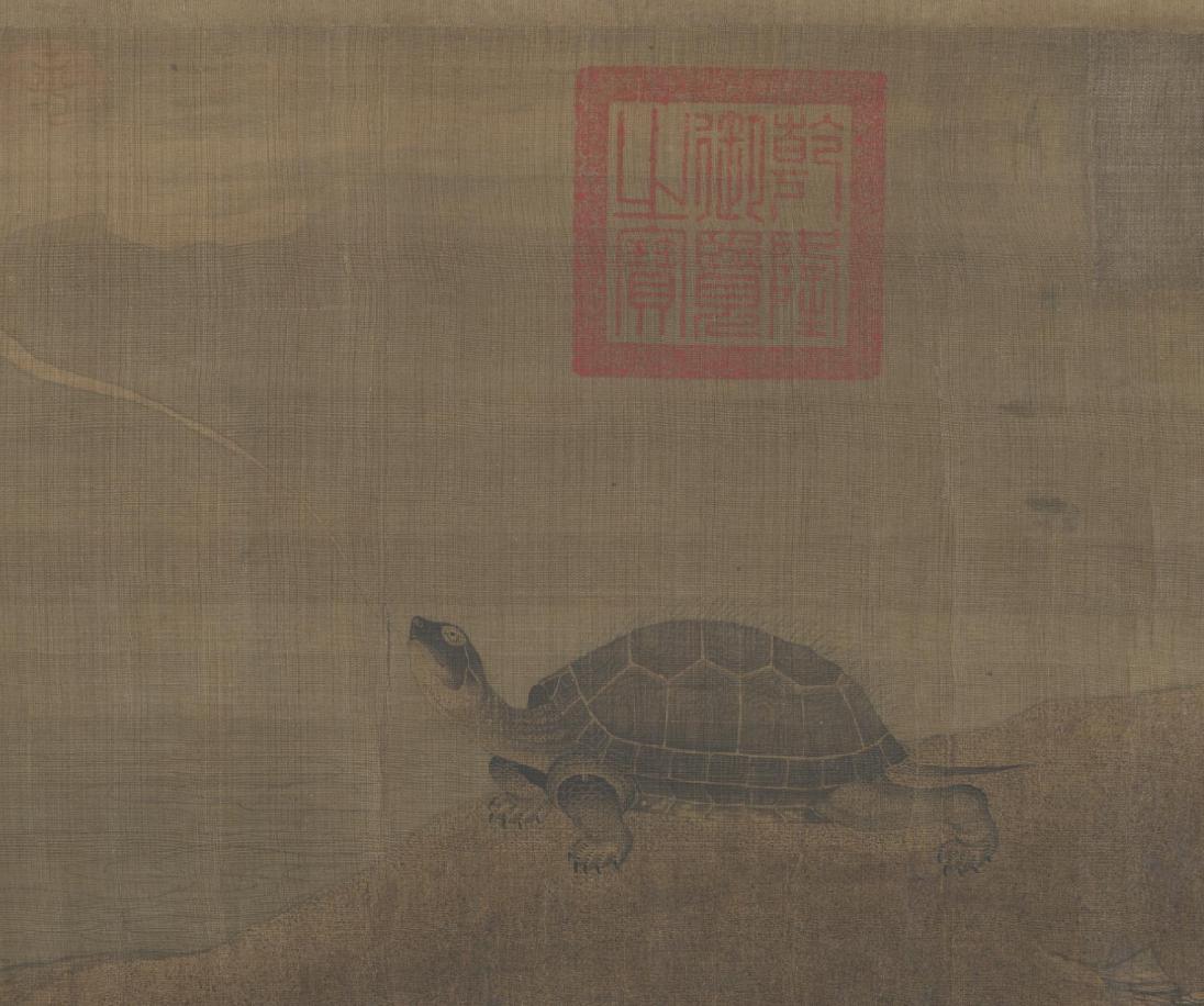 神龟图.png