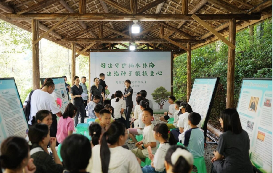 孩子们参与保护野生植物法律知识闯关游戏。受访单位供图