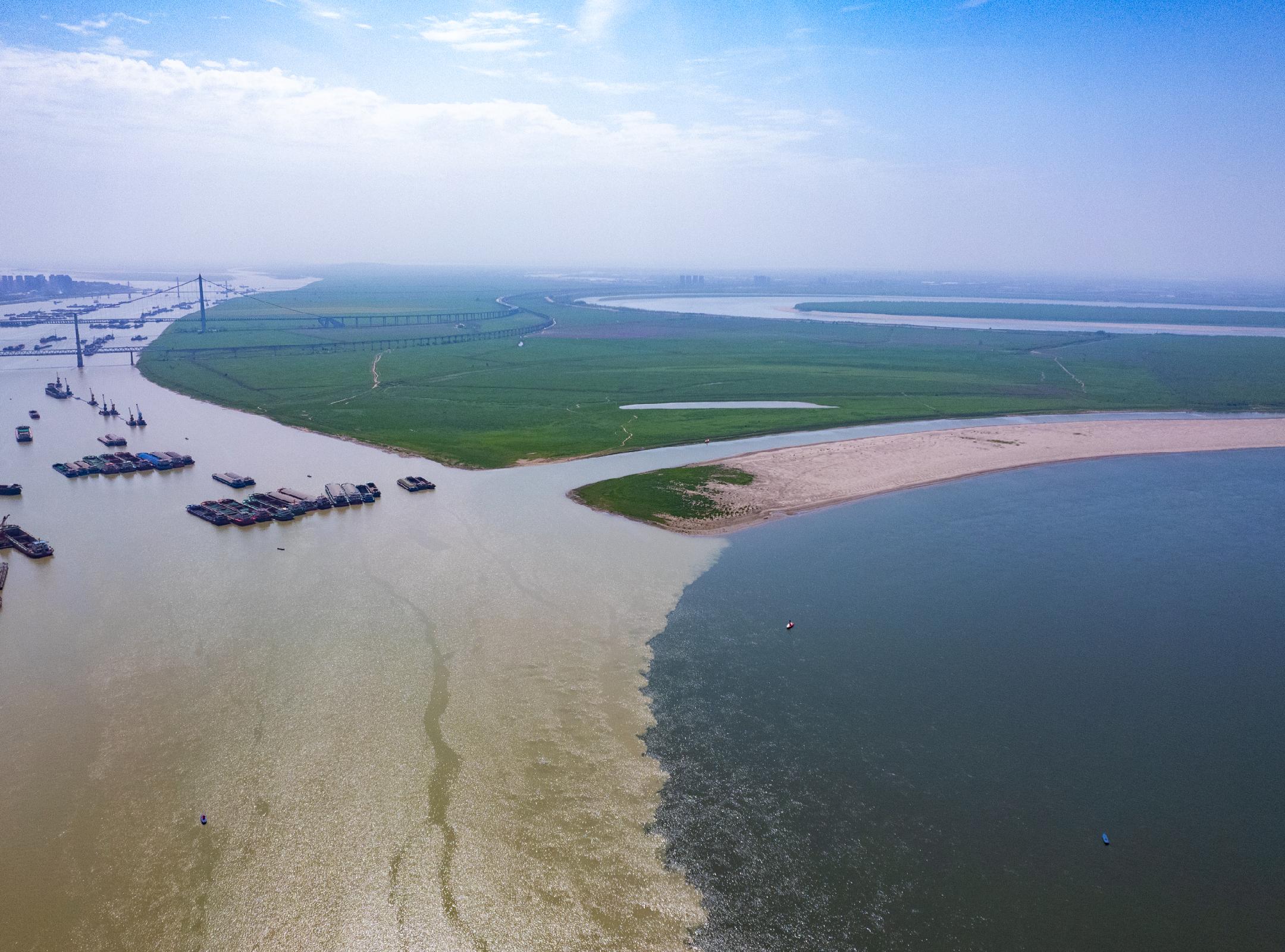 筑產業之基：讓“一縣一業”有根可依