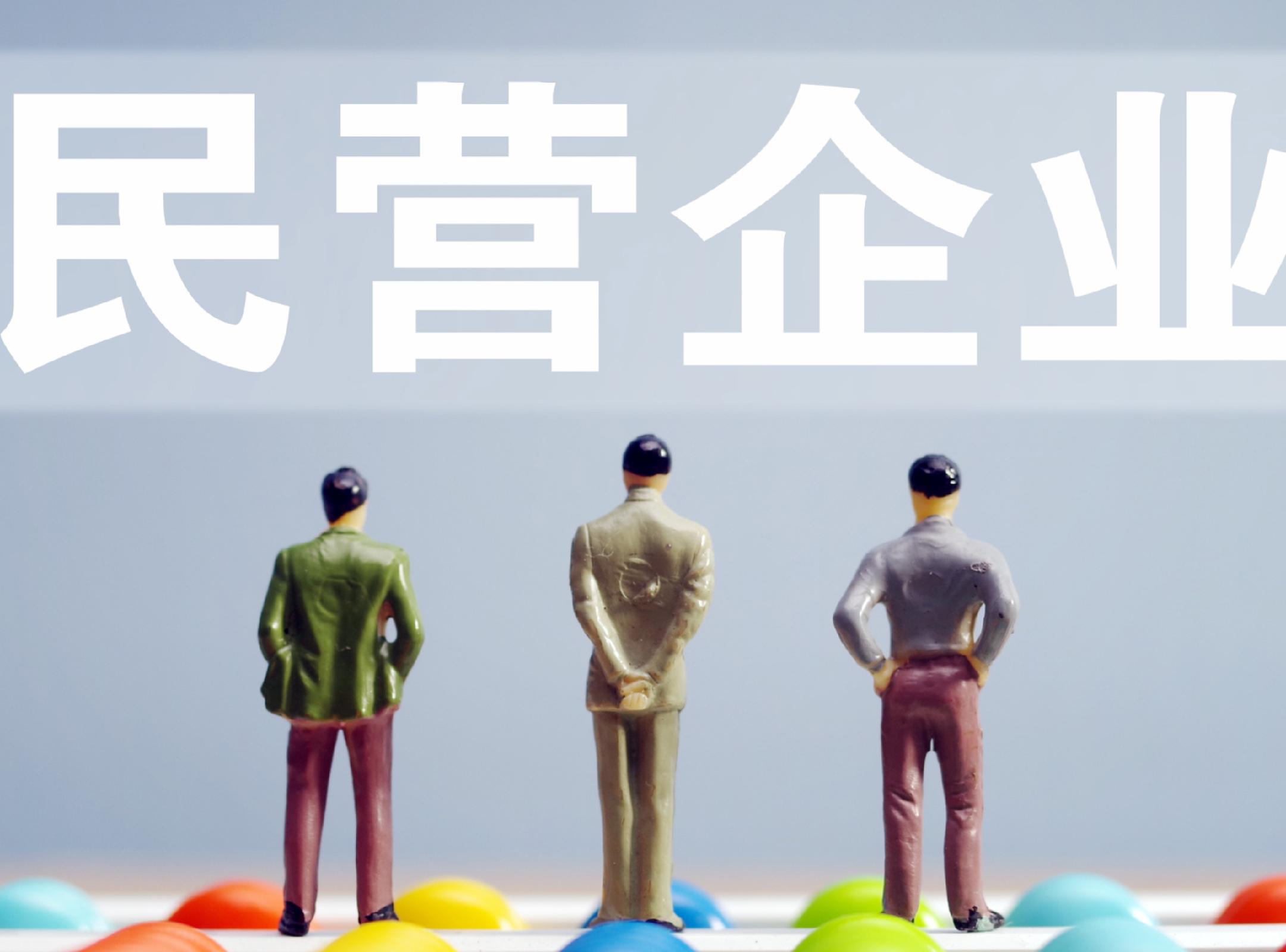 全国政协委员江浩然：建议搭建多元融合平台 为民营企业发展破除障碍