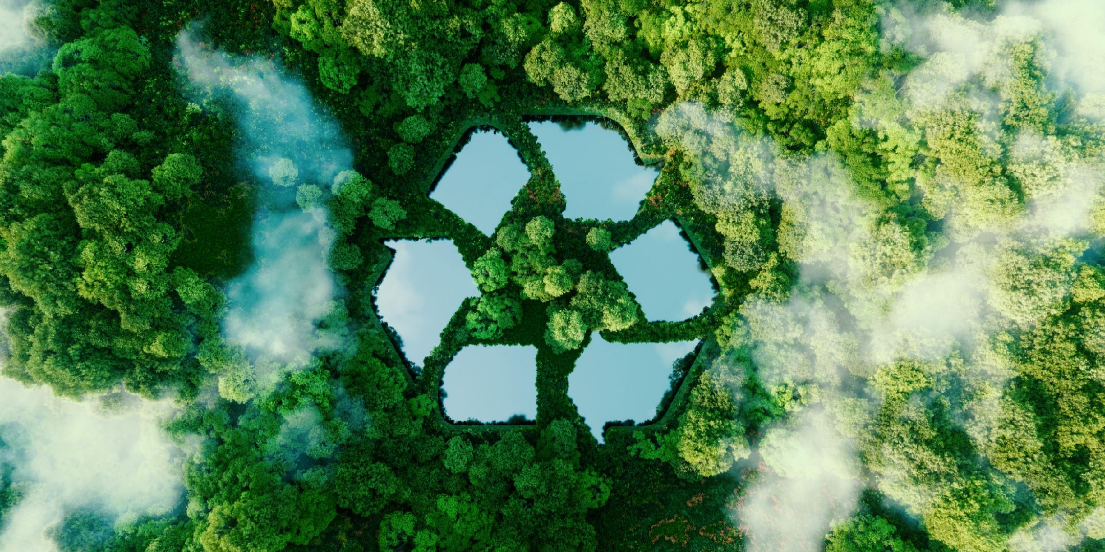 我国生态环境质量延续持续向好态势 - 经济观察网 - 专业财经新闻网站
