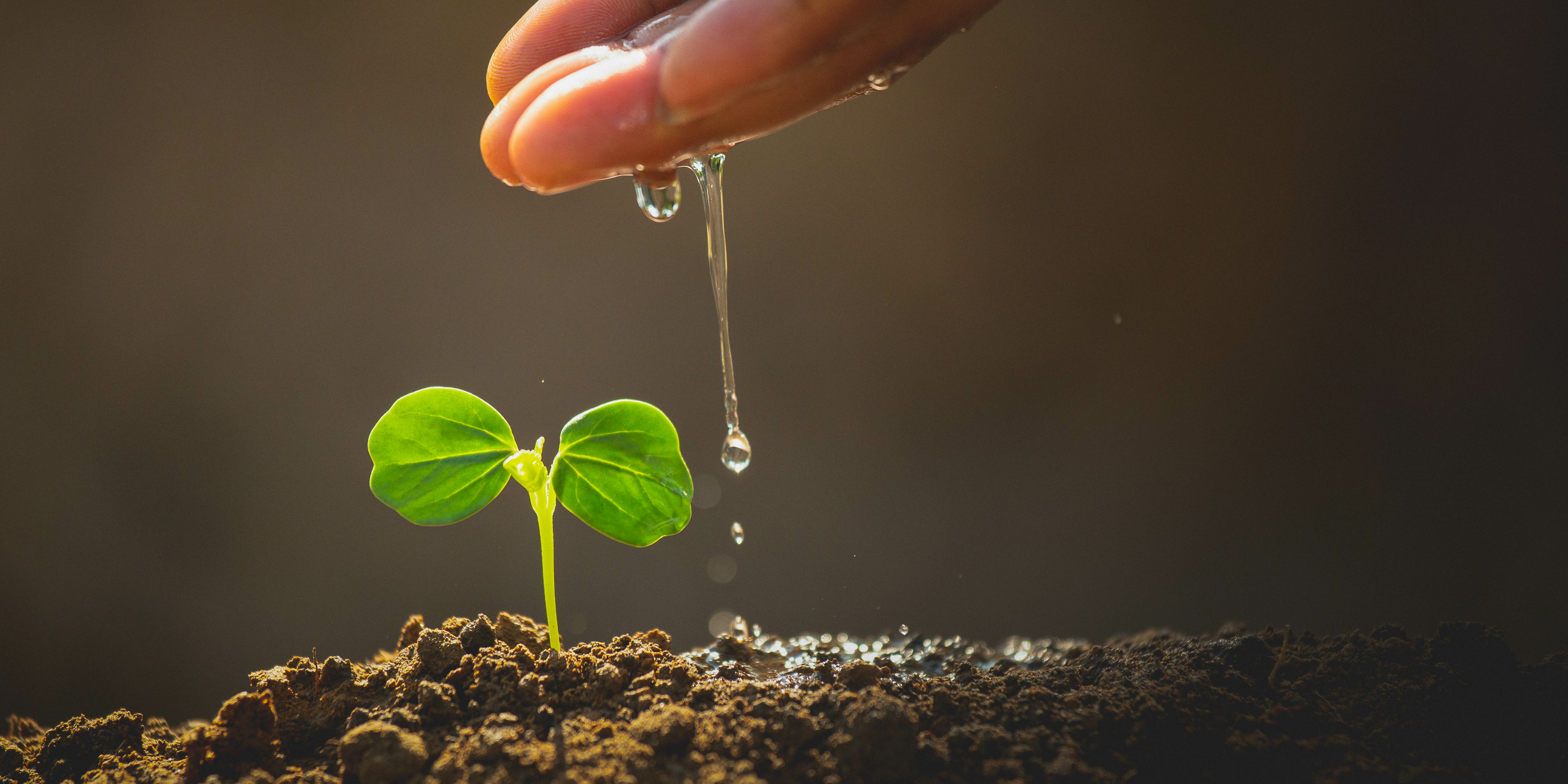 刘毅推动生态环境单元化精准化差异化高水平治理