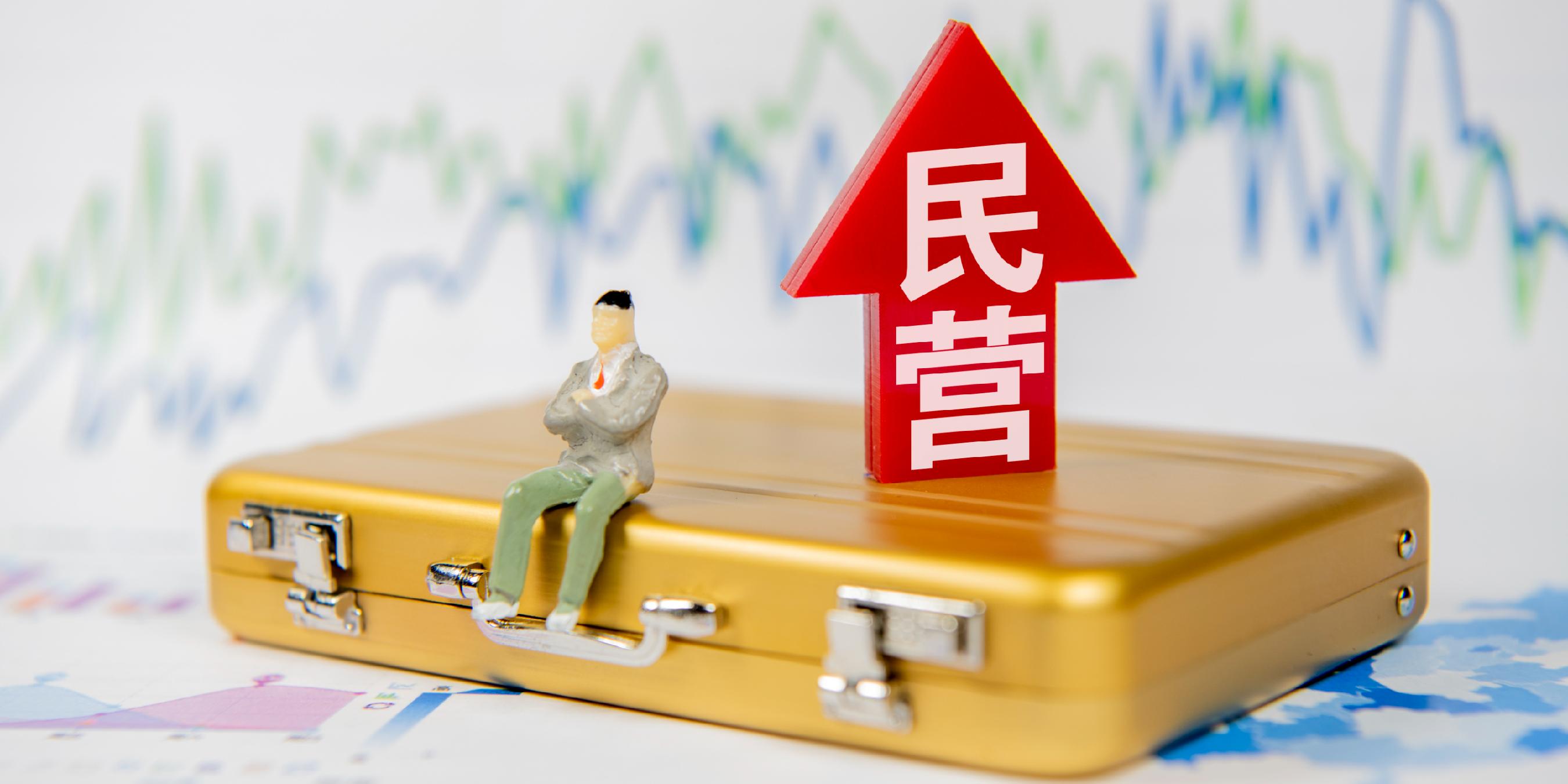 政策护航添动力 民营经济谱新篇