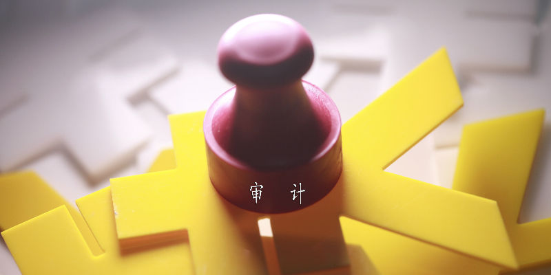 他们，将影响你的生意和生活 | 审计署审计长侯凯