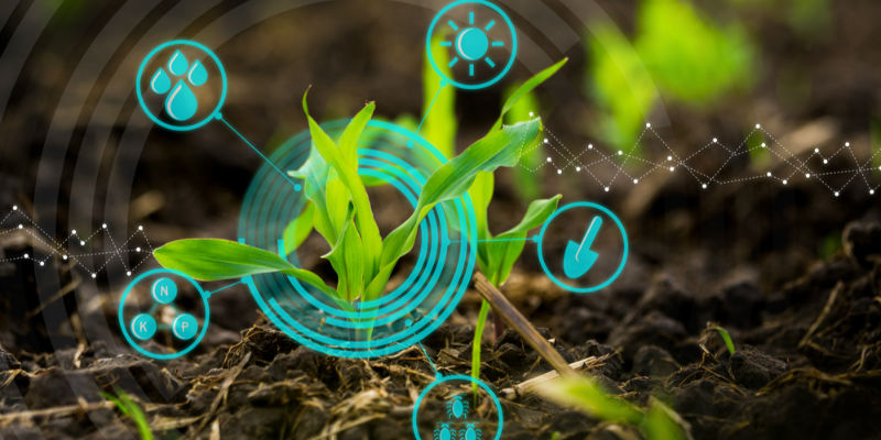 在“三公里村”想象“大南繁”