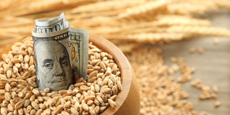 伟伟道来 | 第250天，暂停粮食协议，俄罗斯给自己出难题