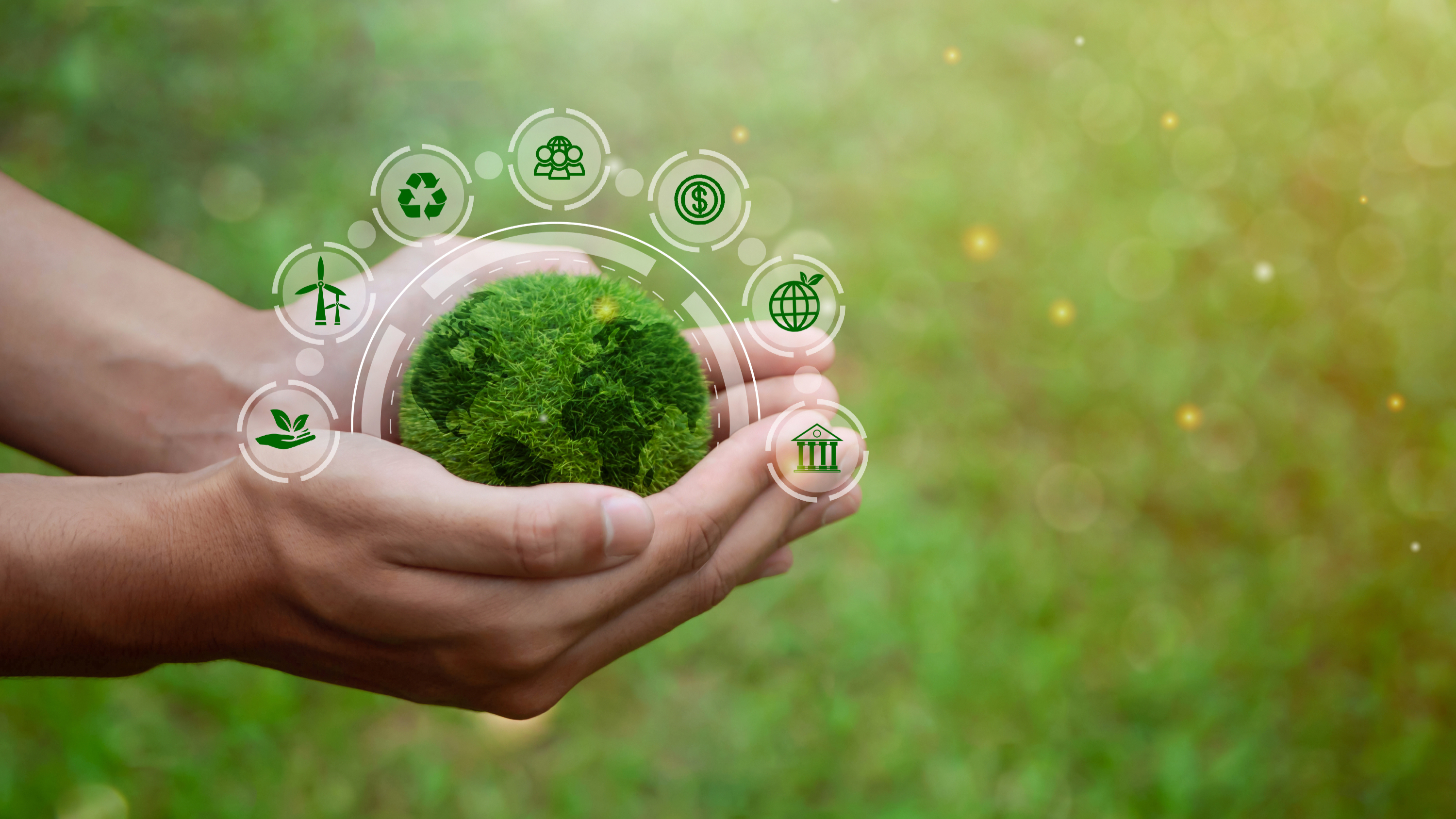 上海绿色金融服务平台正式上线