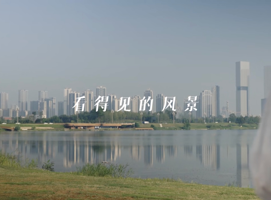 迎大运，文明风景靓起来！这场活动你参与了吗