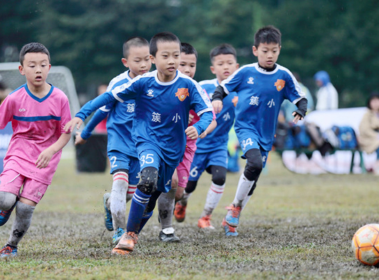 小手拉大手，春天的蓉城更美了！