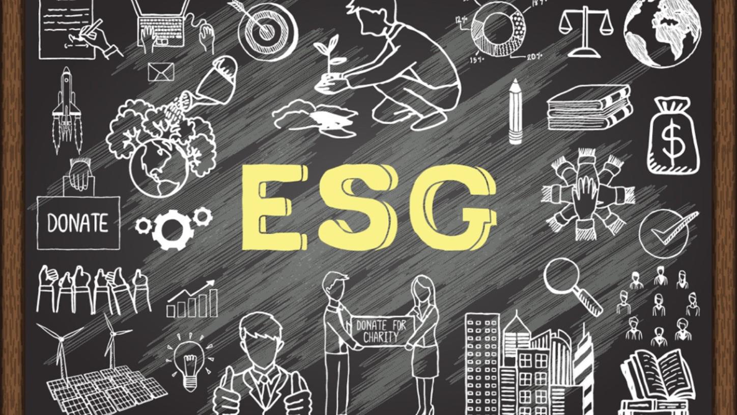 追求“漂绿”噱头还是押宝长期价值?破解企业ESG目标迷思 - 经济观察网 - 专业财经新闻网站