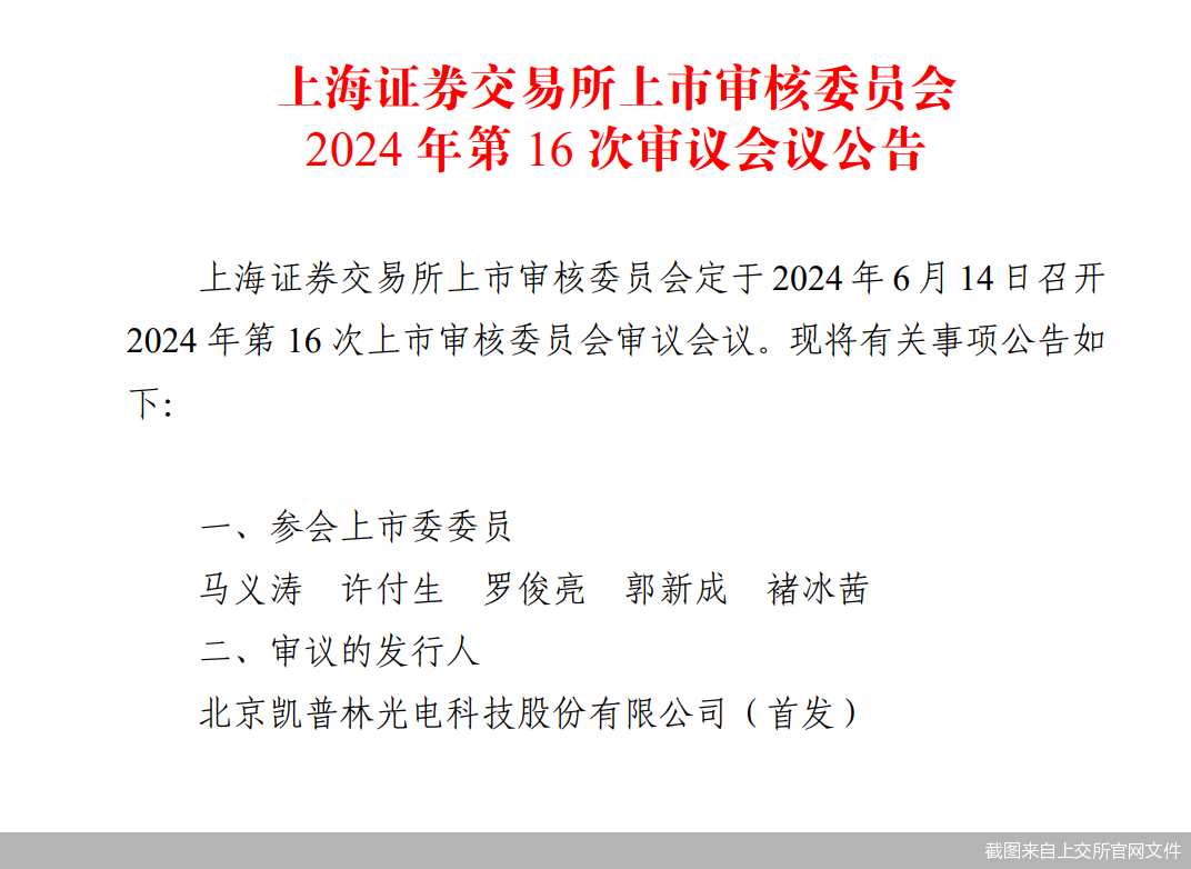 截圖來自上交所官網(wǎng)文件