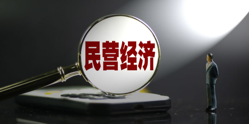 全国工商联建言民营经济 刘俊海：建议将《民营经济促进法》列为一号立法