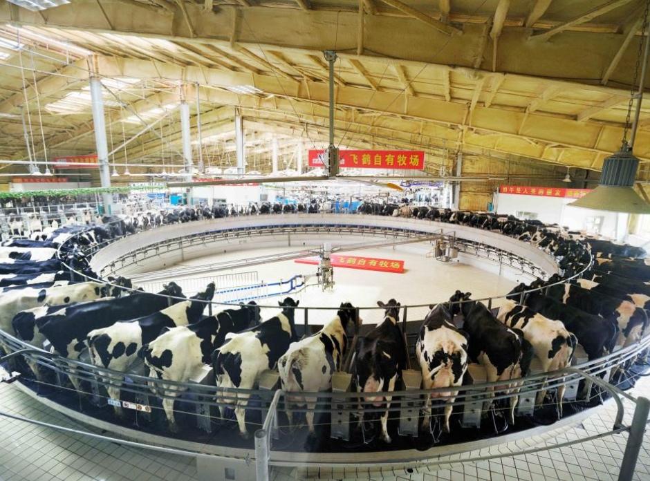 全国工商联发布2022中国制造业民营企业500强榜单  飞鹤再度登榜