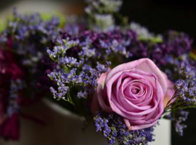 实地探访“亚洲花都”昆明斗南花市：“情人节”来临 市场内人头攒动花价水涨船高